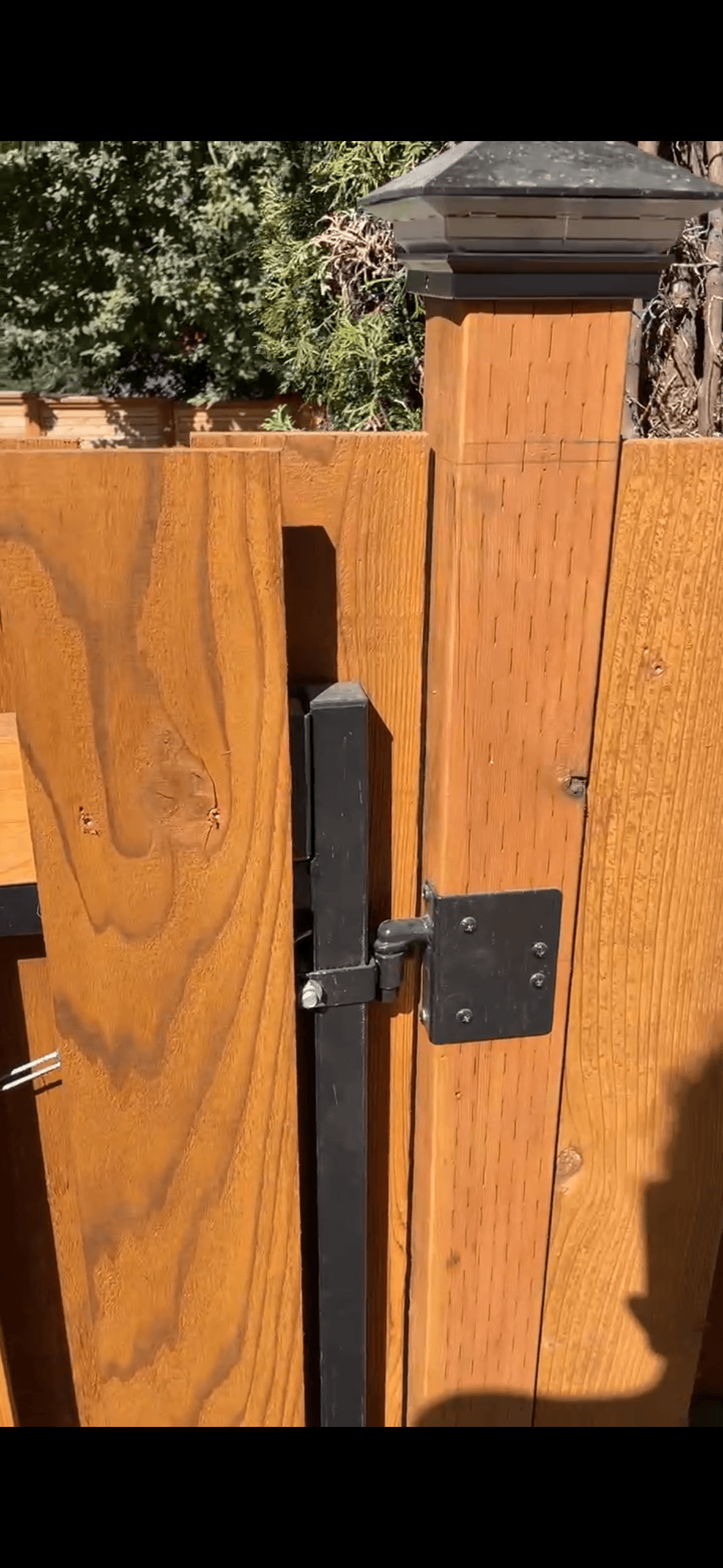 Close-up of a cedar fence gate with black powder-coated latch and hinge hardware